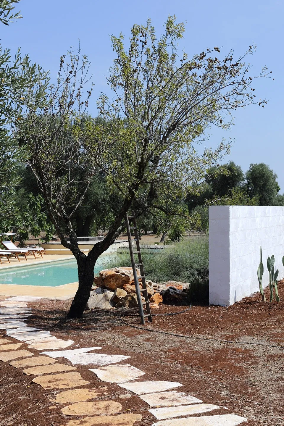 Castelluccio别墅,意大利 / Studio Andrew Trotter