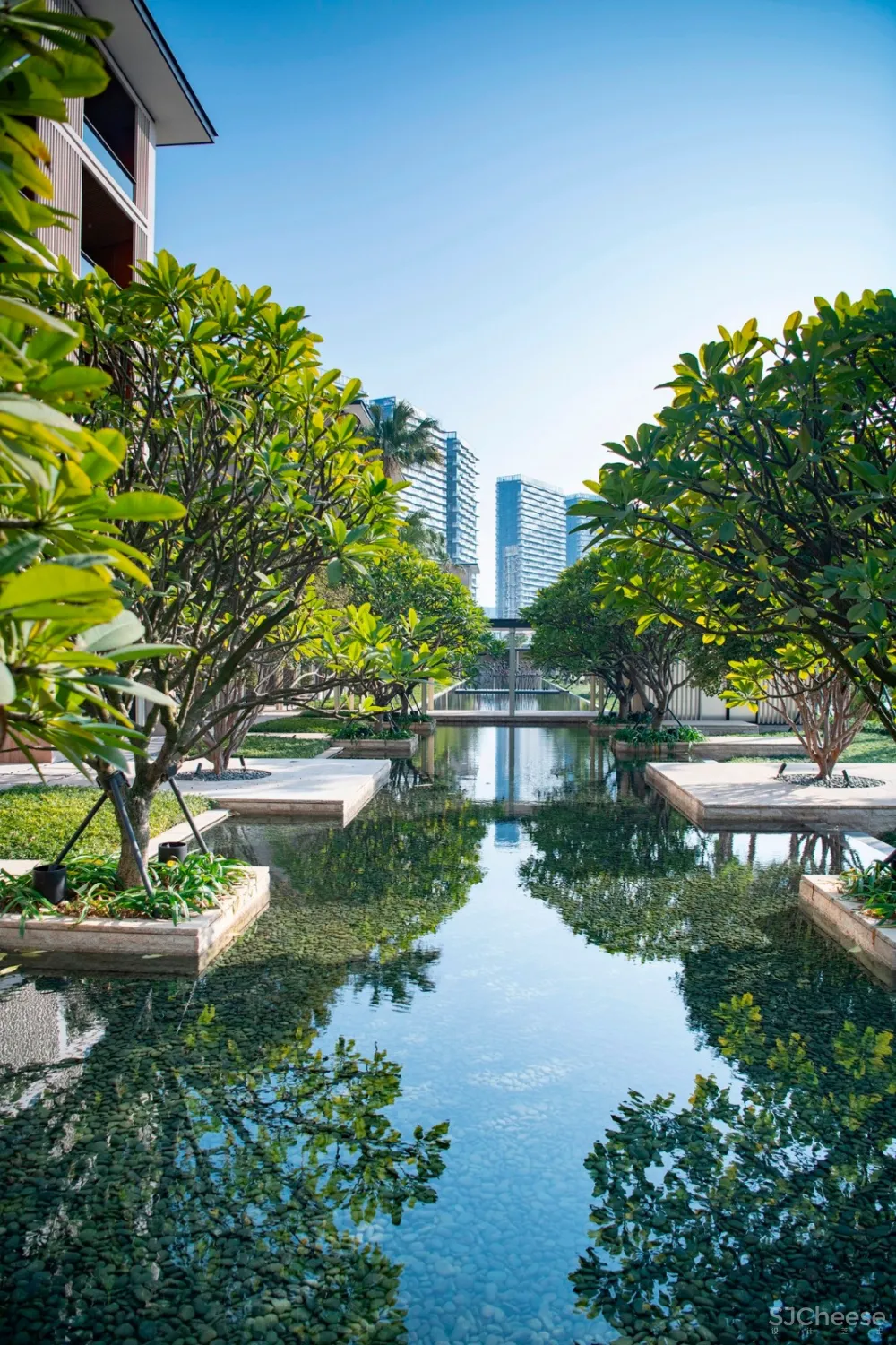 入住璞尚酒店/我终于体验到了真正的都会桃源/还打卡了厦门醉美日落