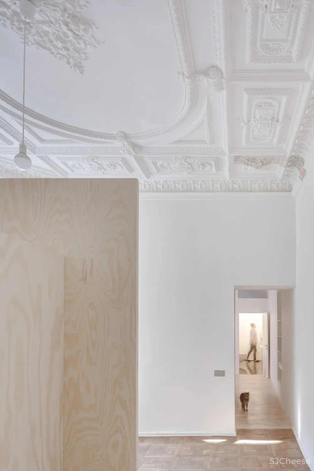 最新 | SA studio 华丽的天花板纹饰:翻修维尔纽斯19世纪公寓