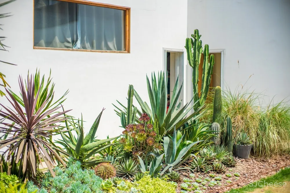 Dear Home亲家-HoPuDesign