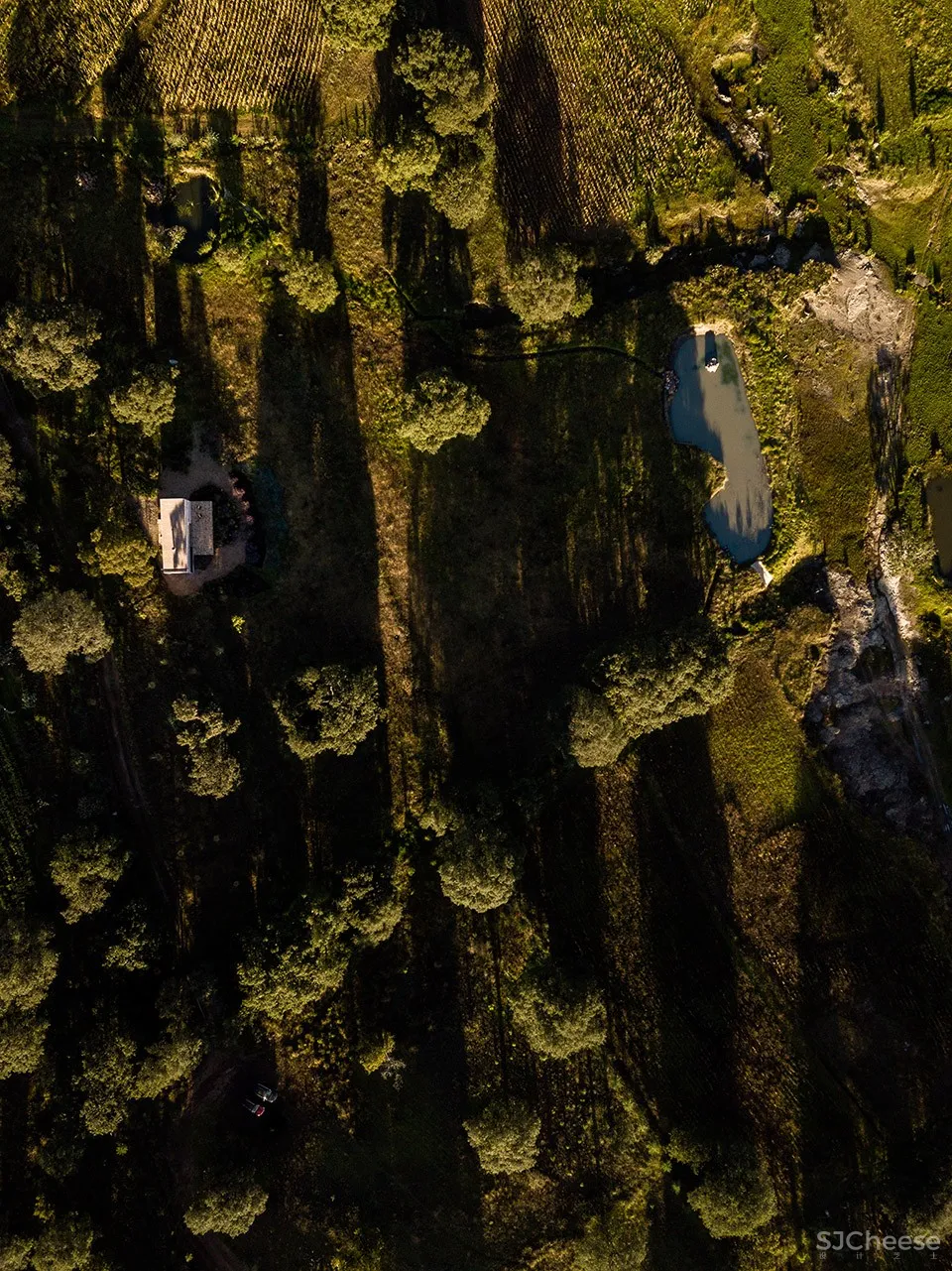 Aculco度假屋，墨西哥 / PPAA