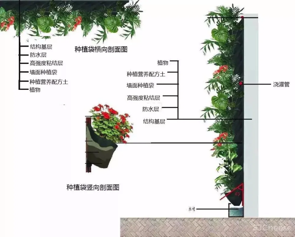 绿植长在墙上丨个性又省地方 首