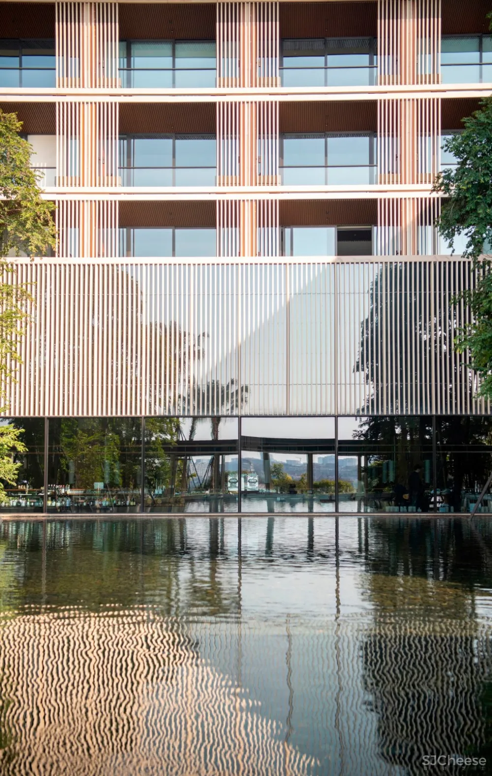 入住璞尚酒店/我终于体验到了真正的都会桃源/还打卡了厦门醉美日落