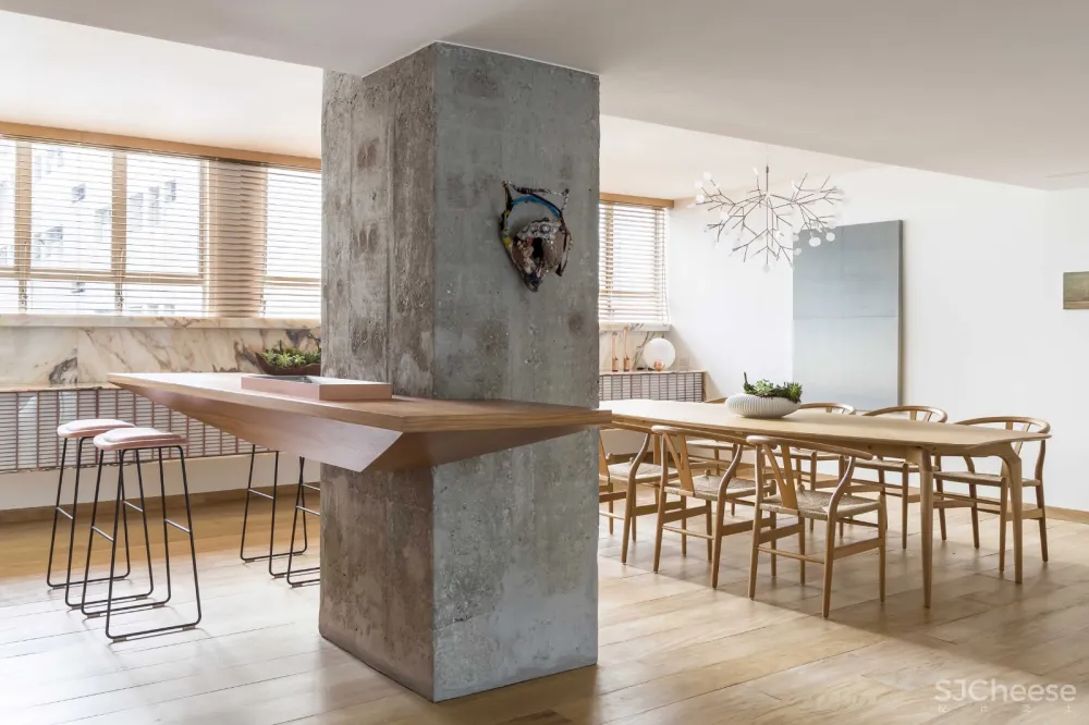 首发 | Pascali Semerdjian:圣保罗 VLP公寓 首