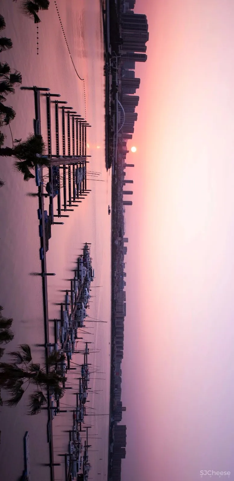 入住璞尚酒店/我终于体验到了真正的都会桃源/还打卡了厦门醉美日落