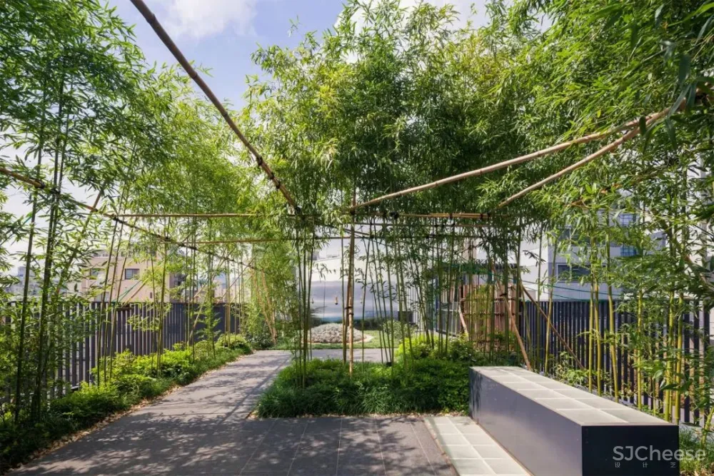 他在闹市中建了一个寺庙,用水晶做围墙,斩获设计大奖