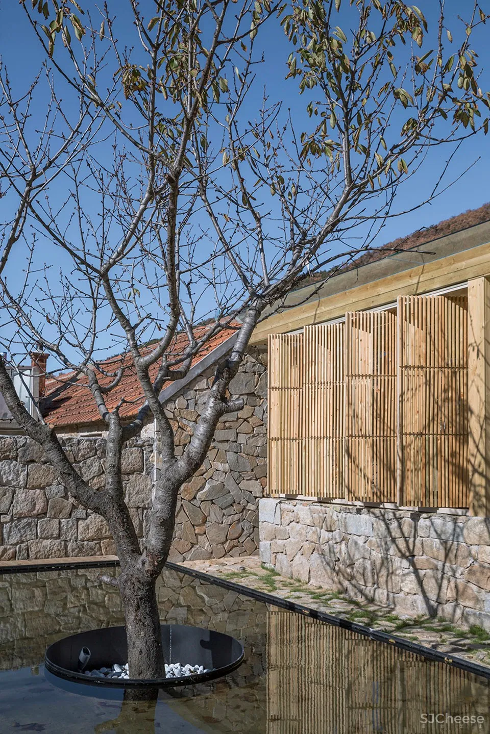 王家疃村柿园民宿,威海 / 三文建筑 / 何崴工作室