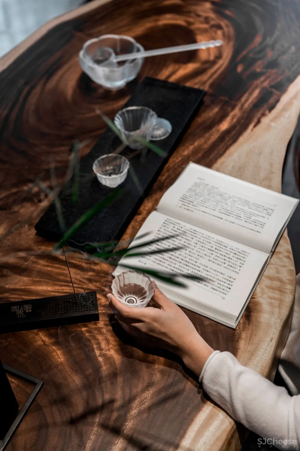 施少芬新作 | 观澜山宅，圆世野情怀