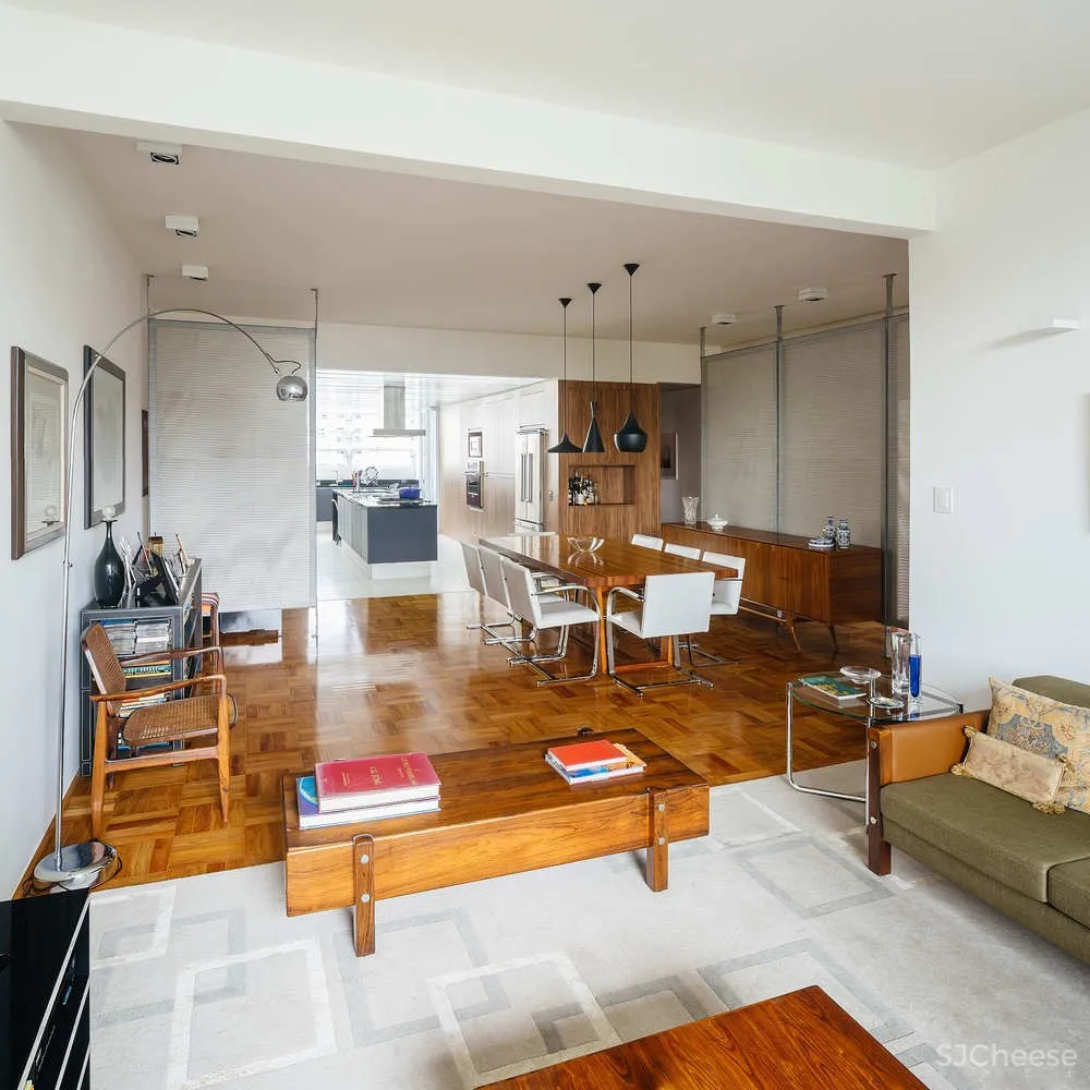 Lausanne Apartment / GOAA