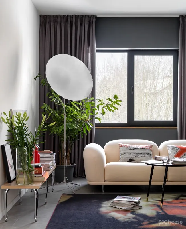 以“家庭美术馆”为主题的住宅设计 | Светлана Коледа 首