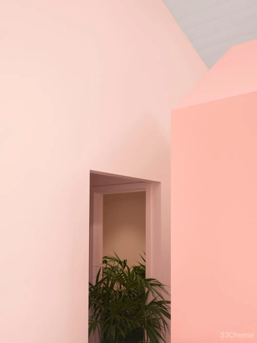 首发 | BoardGrove Architects:粉粉春桃色墨尔本办公空间