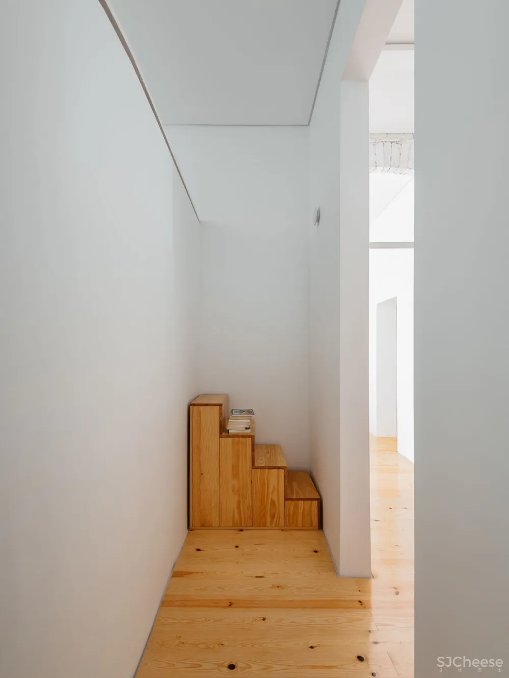 Filipe Foncesca Costa：里斯本拉帕公寓