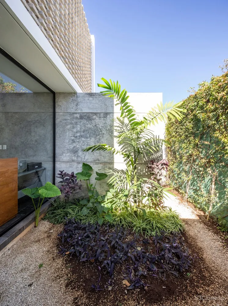 Studio 5.5 / P11 Arquitectos + Tao Arquitectura + Arq. Carlos Góngora