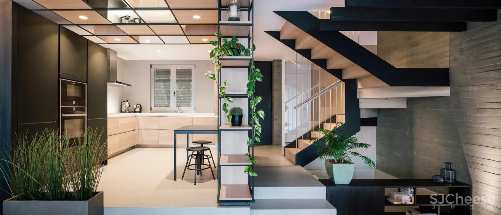 Sierra House / Steyn Studio