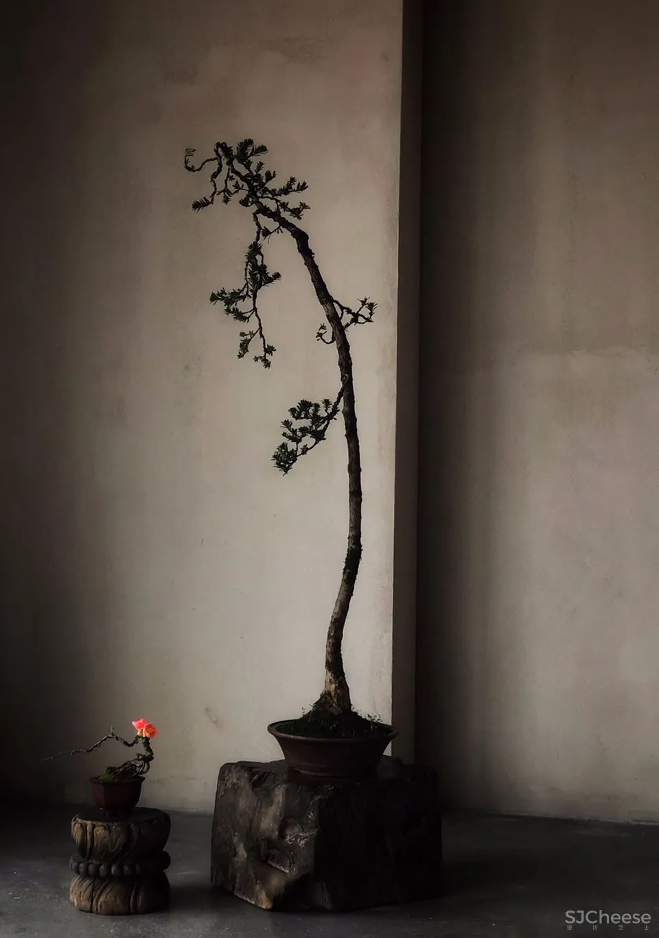 新作 | 空舍设计:杭州 器约茶室