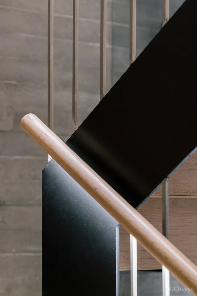 Sierra House / Steyn Studio