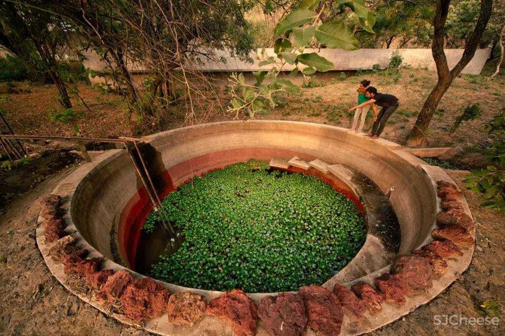 Meztitla 住宅 / EDAA