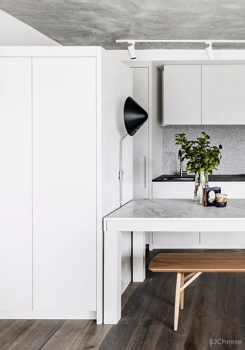 Fiona Lynch新作 | 解开艺术与设计之间的关系