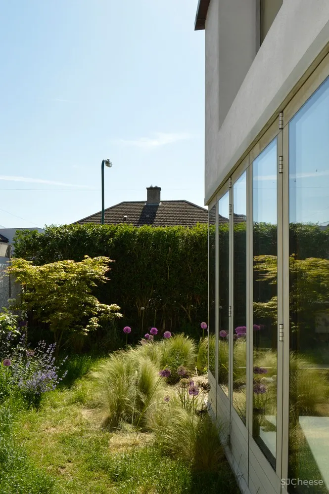 花园住宅 / David Leech Architects