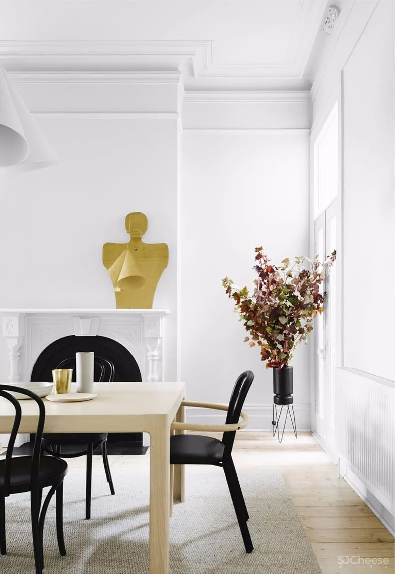 Fiona Lynch新作 | 解开艺术与设计之间的关系