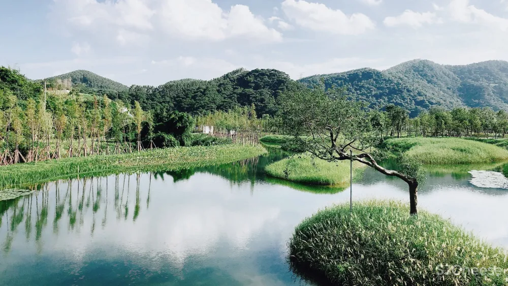 云上西棠田园度假综合体,广东 / IAPA