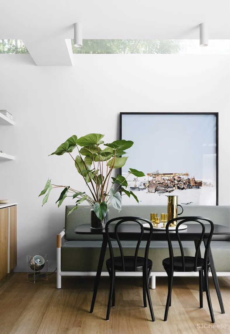 Fiona Lynch新作 | 解开艺术与设计之间的关系