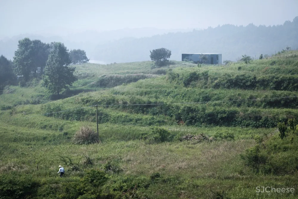 小岛邻居 / 先进建筑实验室