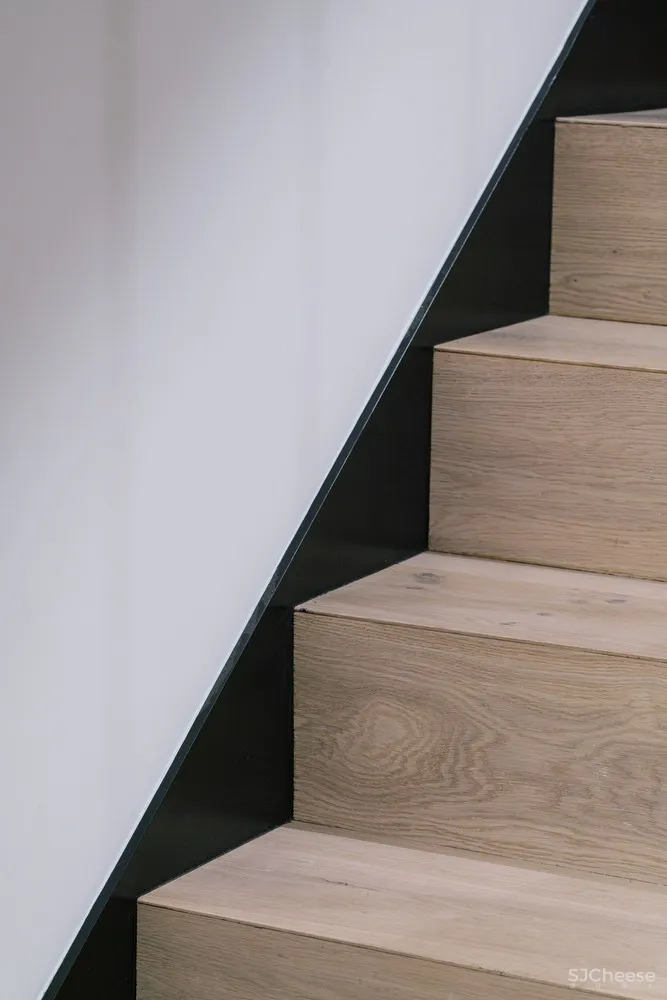 Sierra House / Steyn Studio