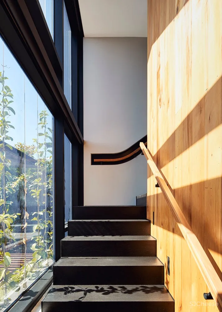 Hawthorn East House / STAR Architecture