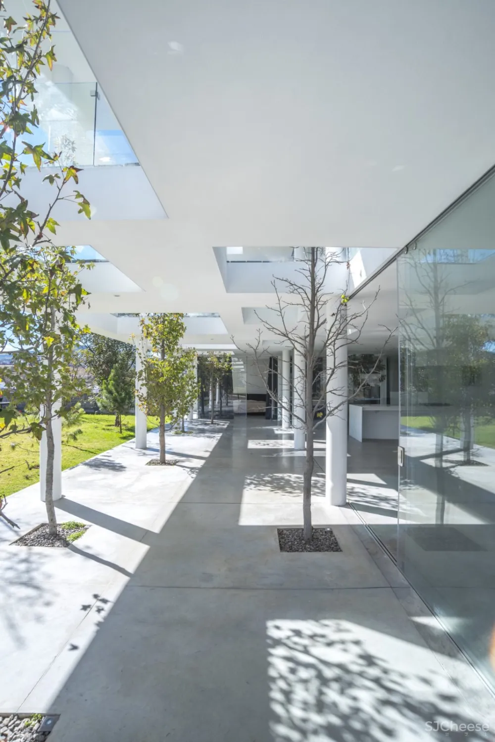 有趣的灵魂丨该有的顶级设计