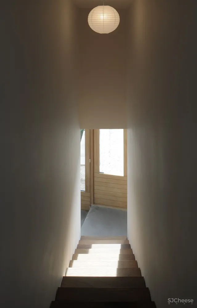 花园住宅 / David Leech Architects