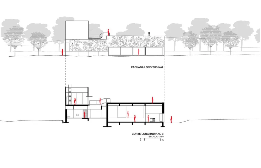 Meztitla 住宅 / EDAA