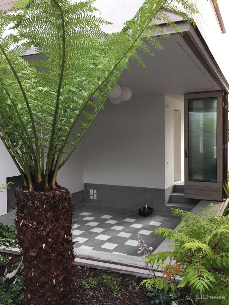 花园住宅 / David Leech Architects