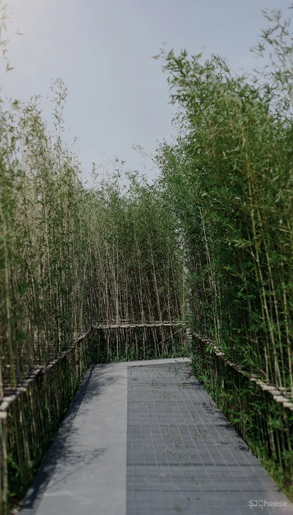 云上西棠田园度假综合体,广东 / IAPA