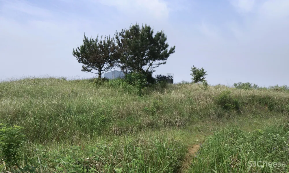 小岛邻居 / 先进建筑实验室