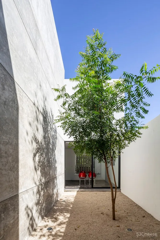 Studio 5.5 / P11 Arquitectos + Tao Arquitectura + Arq. Carlos Góngora