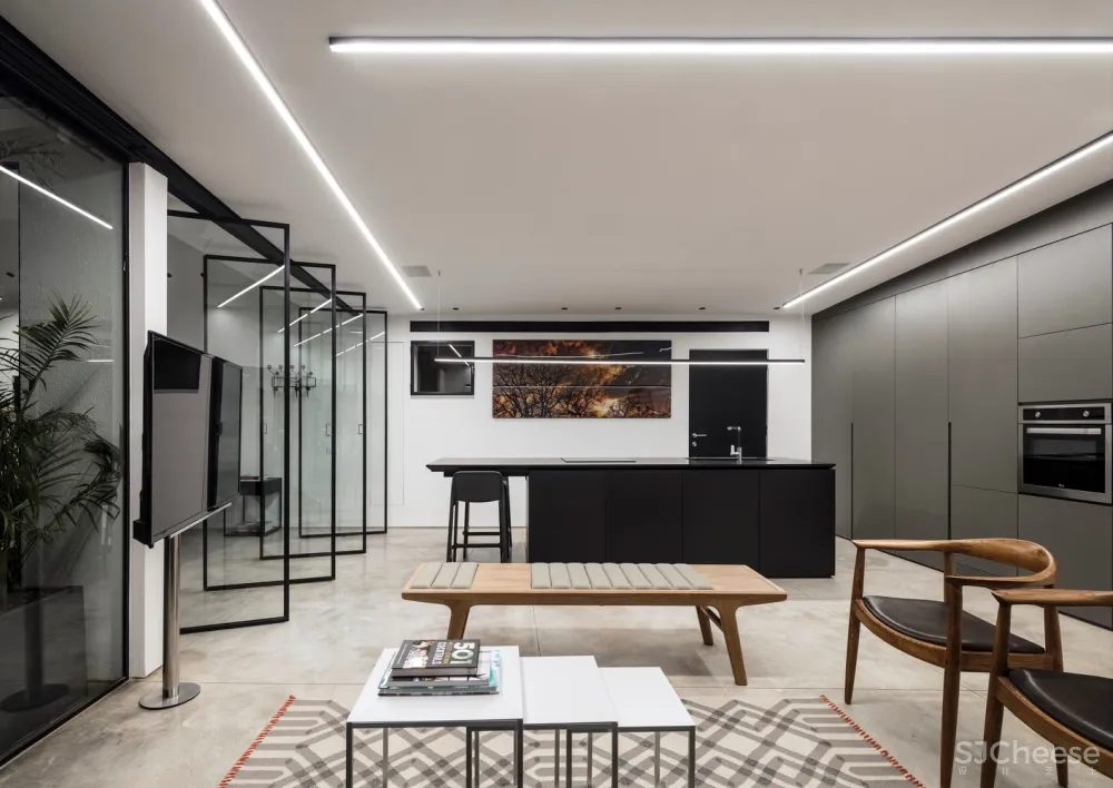 新作 | Raz Melamed architects：以色列开放式公寓 A5 House