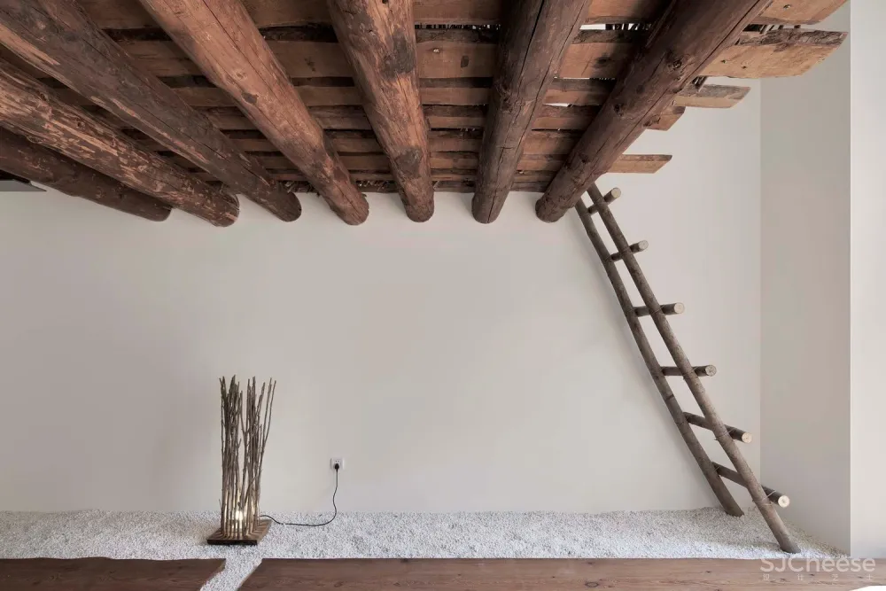 都市里的自然之家 / 原地建筑