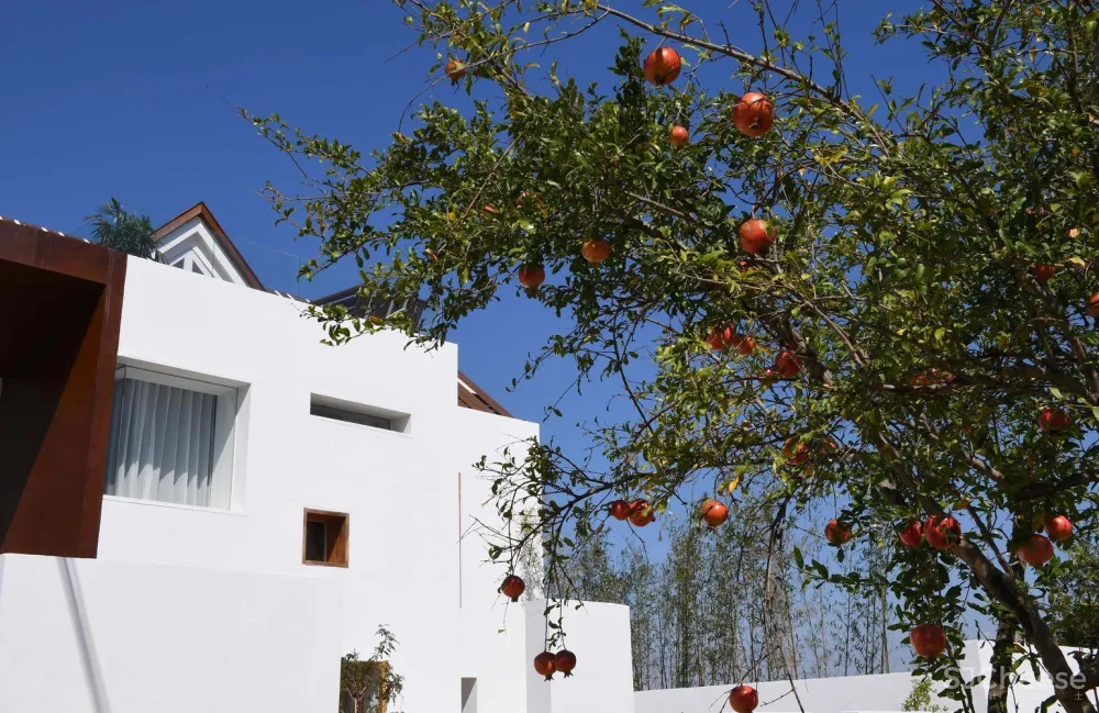 篱外·时光的圆度假酒店 / 元秀万建筑事务所