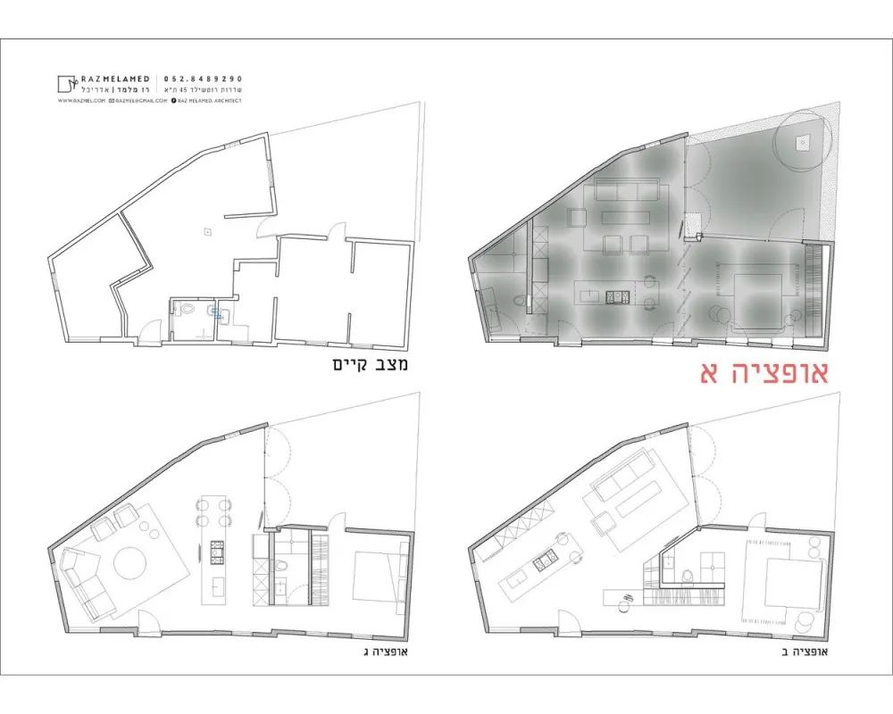 新作 | Raz Melamed architects：以色列开放式公寓 A5 House