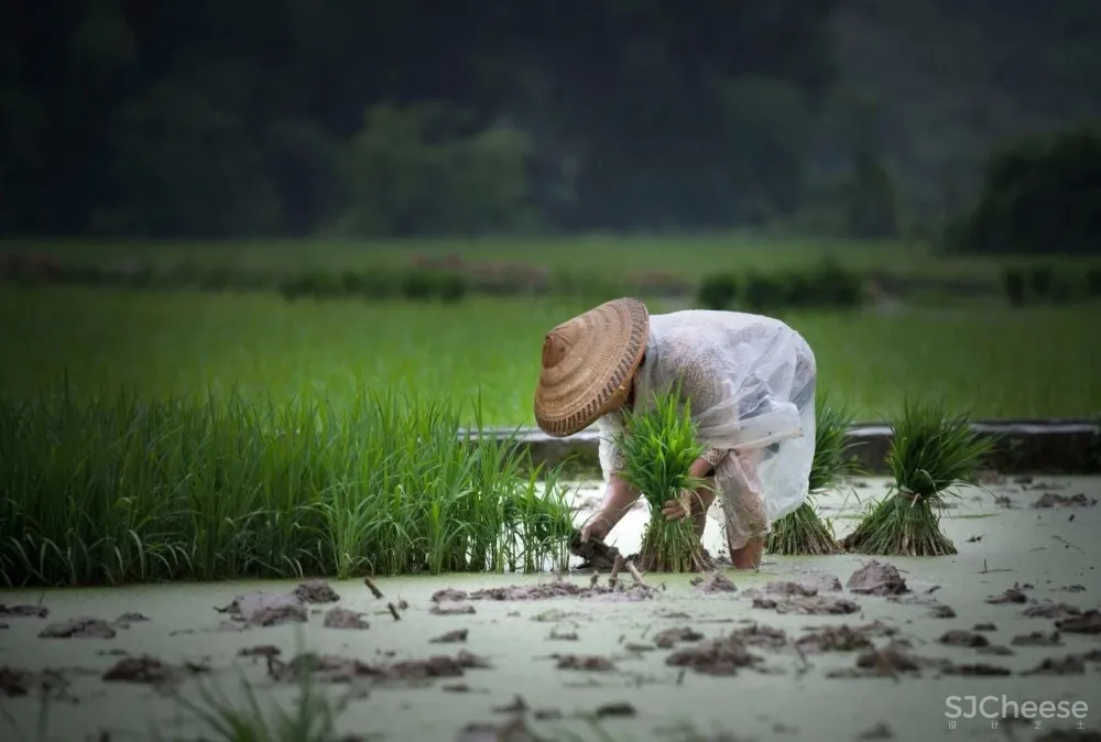 新作 | 隐于山涧的阳朔山居,栖于梦中的田园诗意