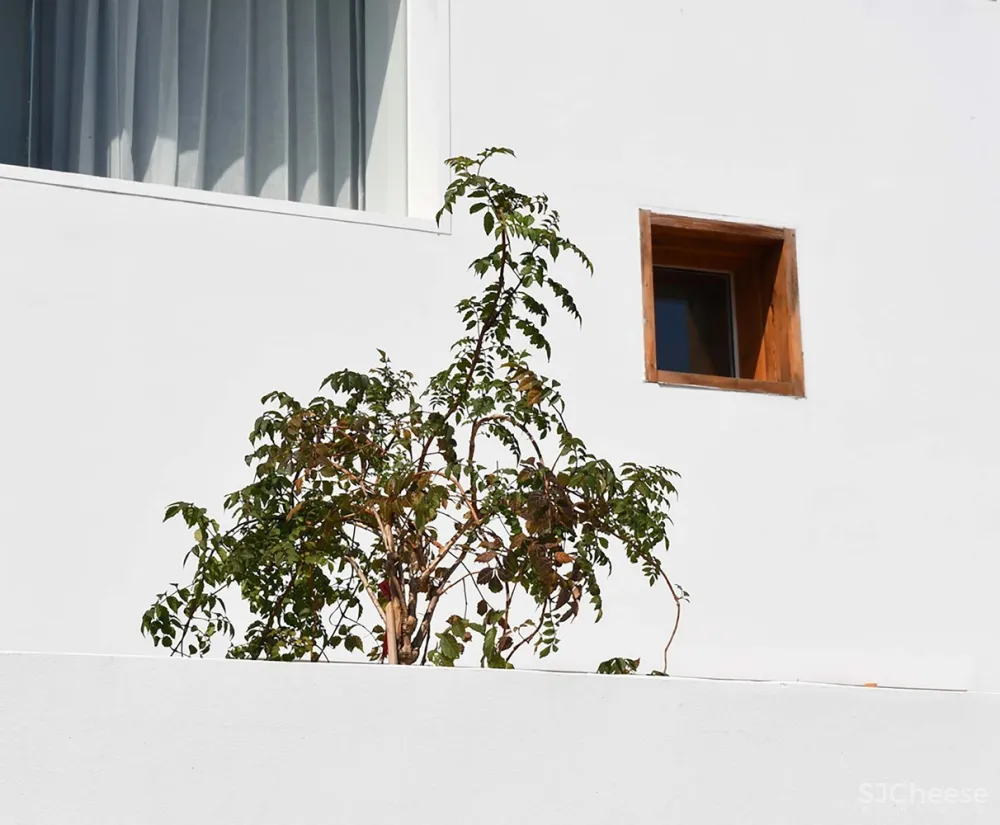 篱外·时光的圆度假酒店 / 元秀万建筑事务所