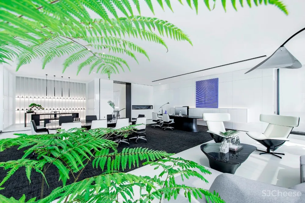 新作 | 极简白,如何打造前卫艺术的国际办公