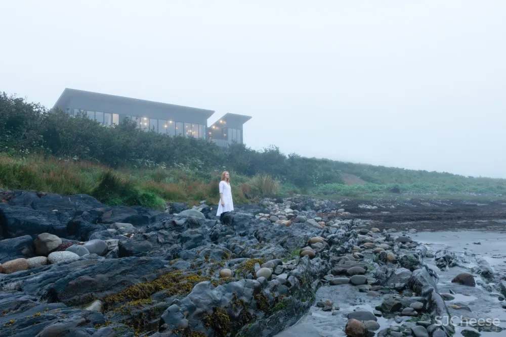 Treow Brycg House / Omar Gandhi Architect