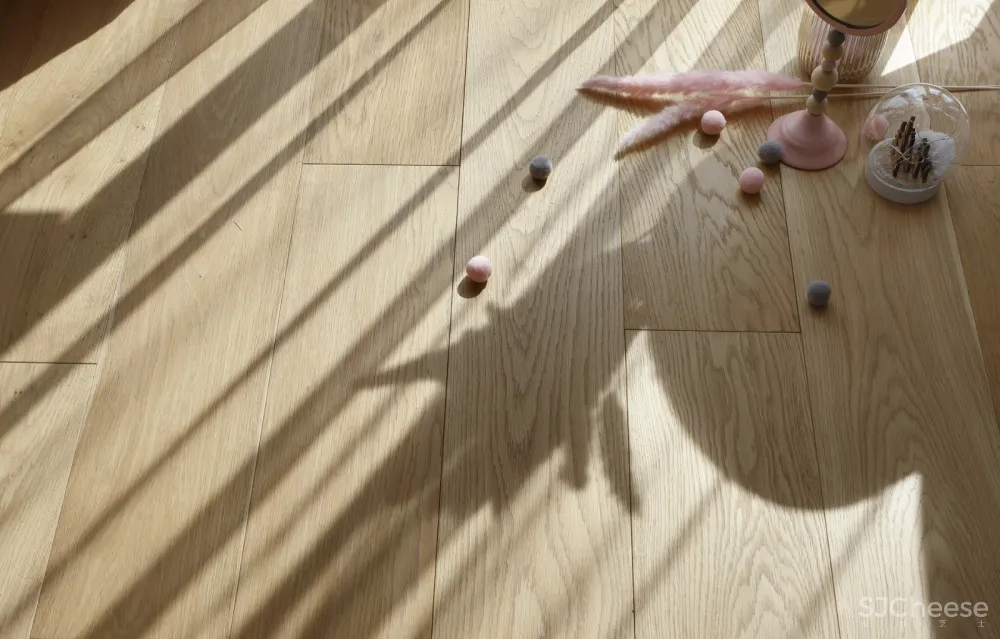 不负遇见丨一次跨越一千多公里的邂逅