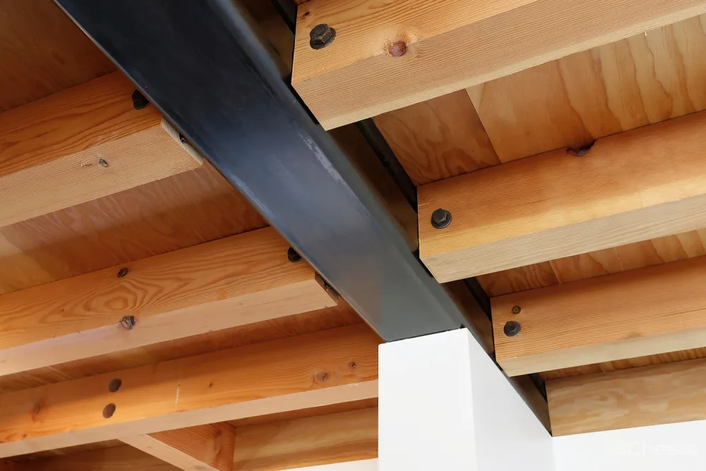 DADU后院小屋 / Robert Hutchison Architecture