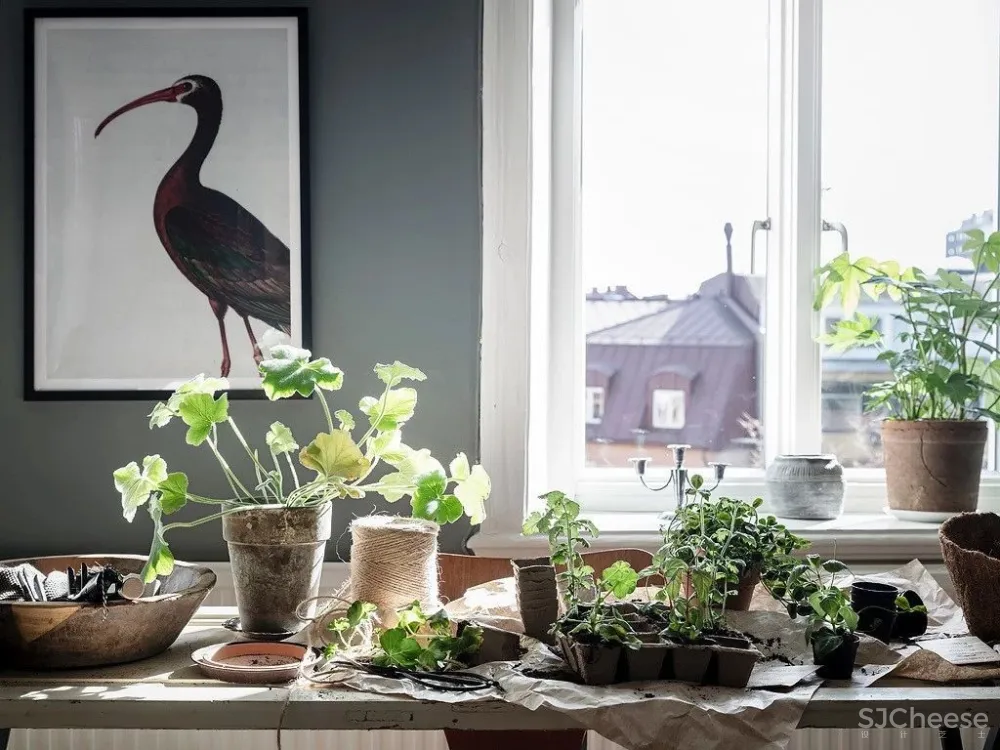 北欧灰蓝色丨舒服的恰到好处