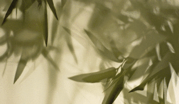 意巢设计丨佛山信业阳光城·檀悦合院：清然静宁 回归诗意