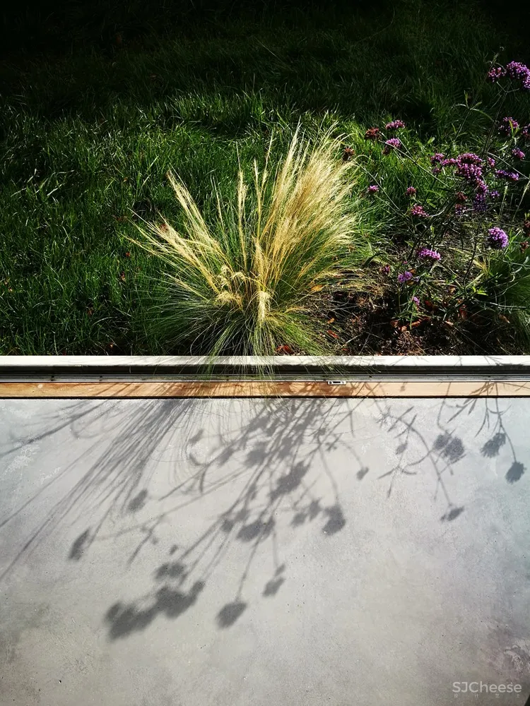 花园住宅 / David Leech Architects