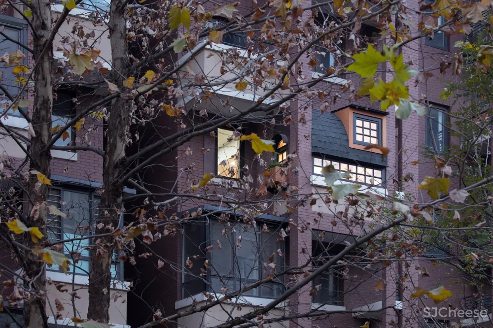 最新 | 绘造社:北京 赠阳庵